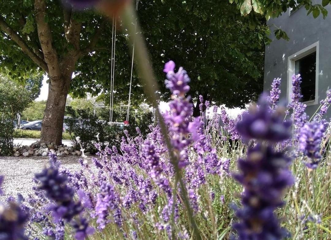 Cosyplace; Close To Beach, Nature, Train, Grocery Kopingebro 외부 사진