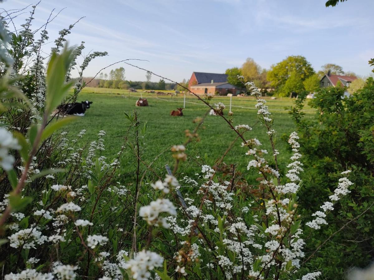 Cosyplace; Close To Beach, Nature, Train, Grocery Kopingebro 외부 사진